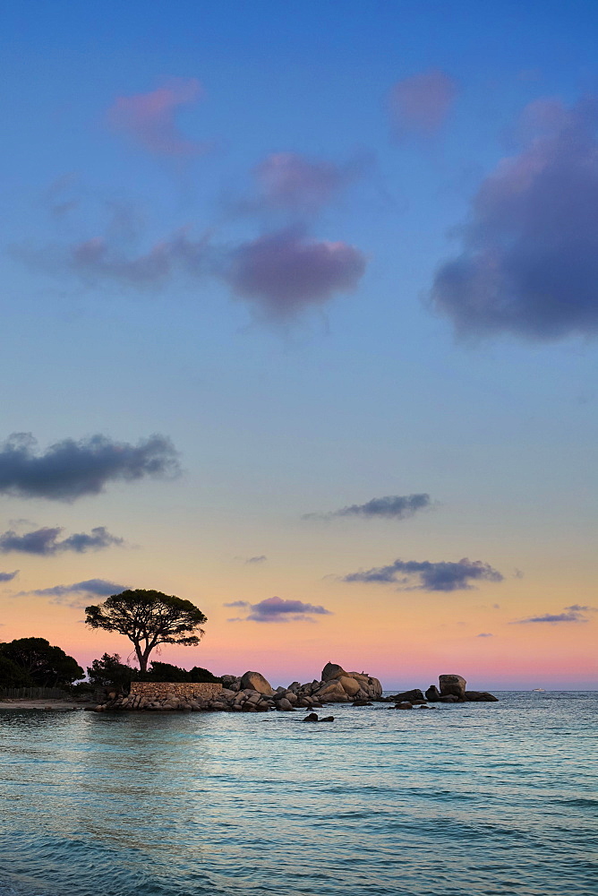 Evening mood, beach of Palombaggia, Porto Vecchio, Corse-du-Sud, Corsica, France, Europe