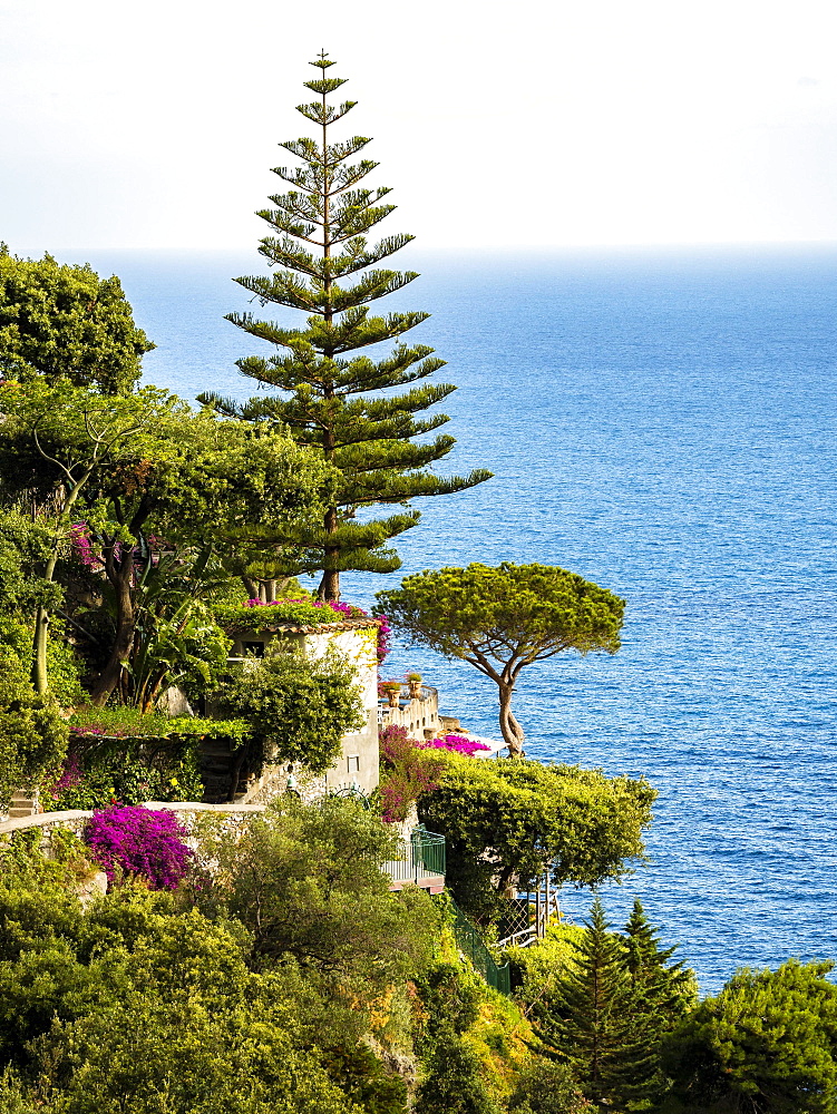 Steep coast with southern vegetation, near Positano, Costiera Amalfitana, Amalfi Coast, Sorrento Peninsula, Campania, Italy, Europe