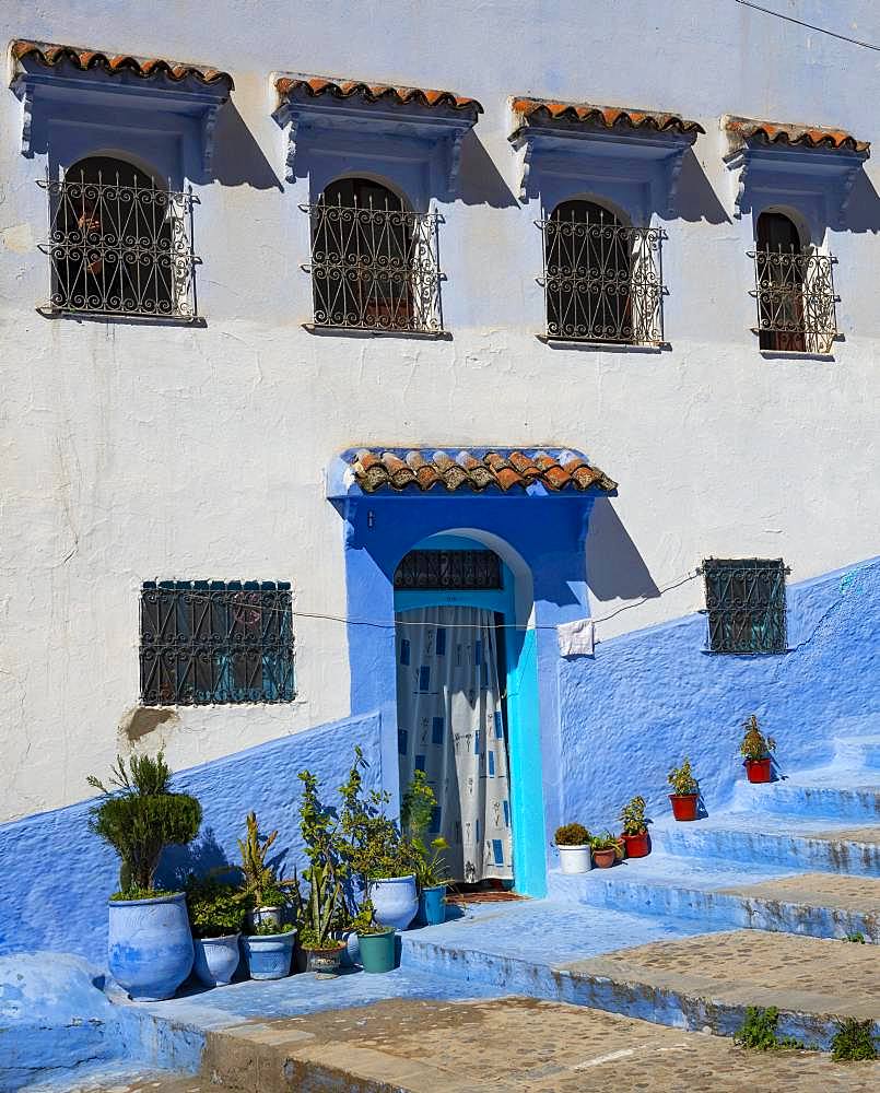 Facade, entrance with flower pots, blue house, medina of Chefchaouen, Chaouen, Tanger-Tetouan, Morocco, Africa