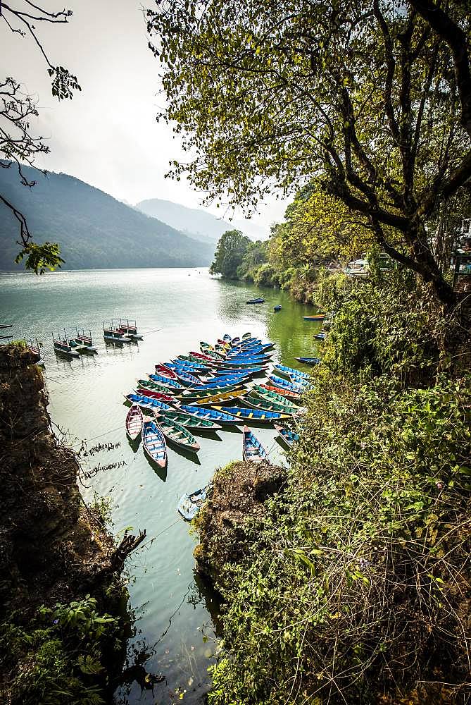 Colorful boats on Phewa Lake, Pokhara, Nepal, Asia