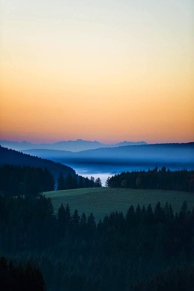 Morning haze, morning mood, view from Thurner, behind the Swiss Alps, Black Forest, Baden-Wuerttemberg, Germany, Europe