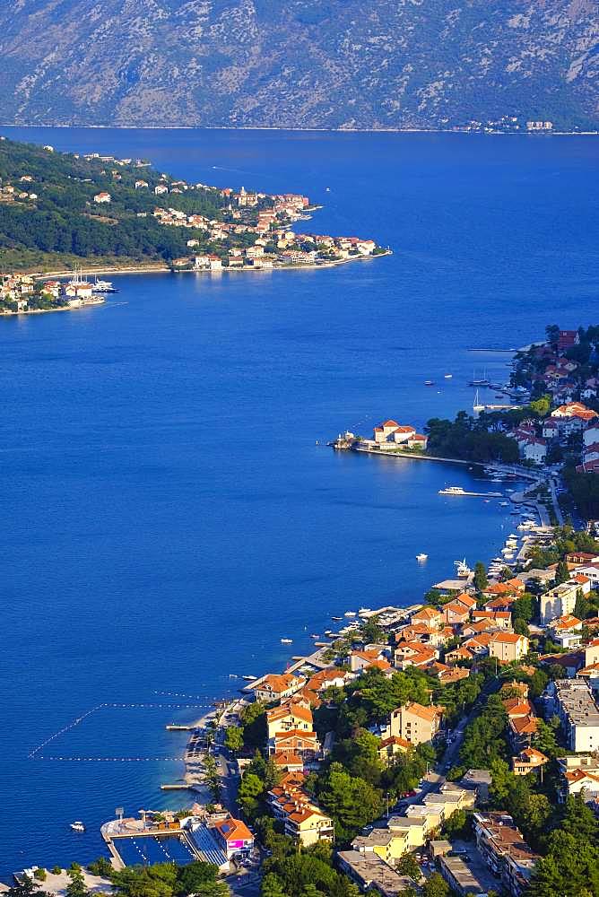 Dobrota and Prcanj, view from fortress Sveti Ivan in Kotor, bay of Kotor, Montenegro, Europe