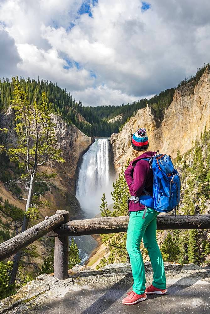 Hiker at Red Rock Viewpoint, Lower Falls, Waterfall in a gorge, Grand Canyon of the Yellowstone River, View from North Rim, Yellowstone National Park, Wyoming, USA, North America