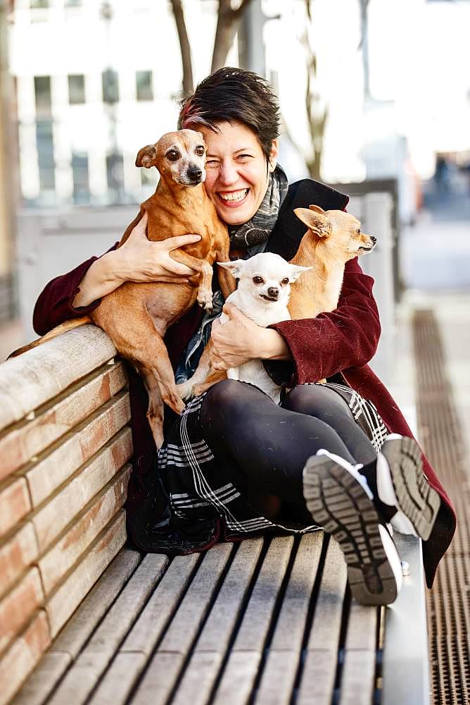 Woman sitting laughing with her three dogs on a bench, Miniature Pinscher and two Chihuahuas, North Rhine-Westphalia, Germany, Europe