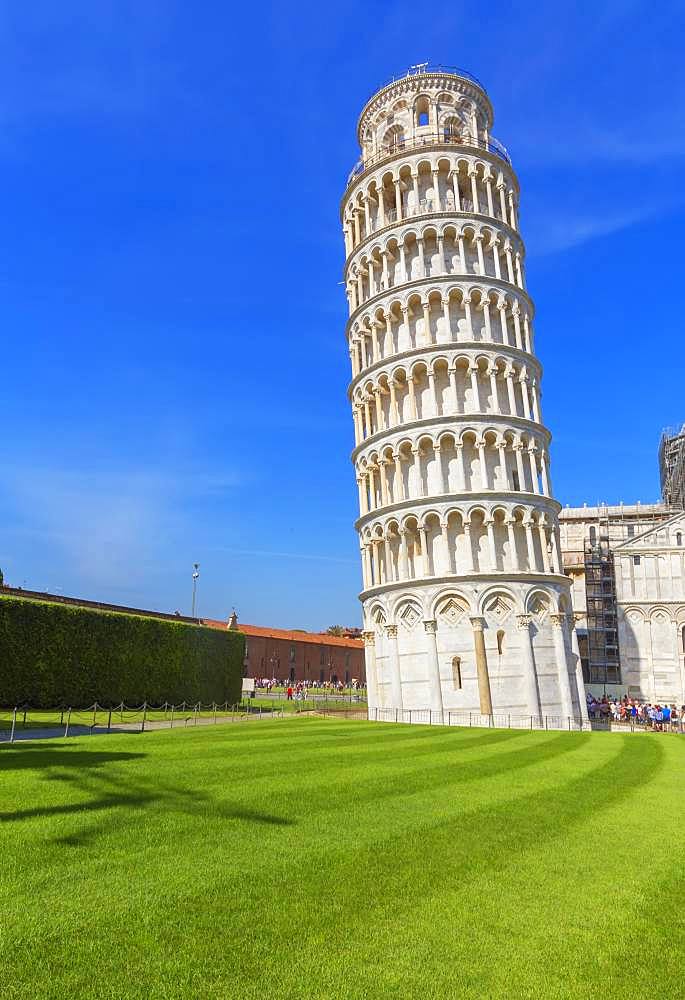 Leaning Tower, Campo dei Miracoli, Pisa, Tuscany, Italy, Europe