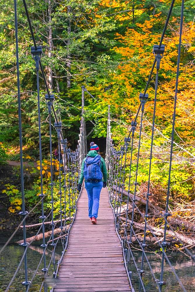 Young woman walking on a suspension bridge across a river, Grove of the Patriarchs Trail, Mount Rainier National Park, Washington, USA, North America