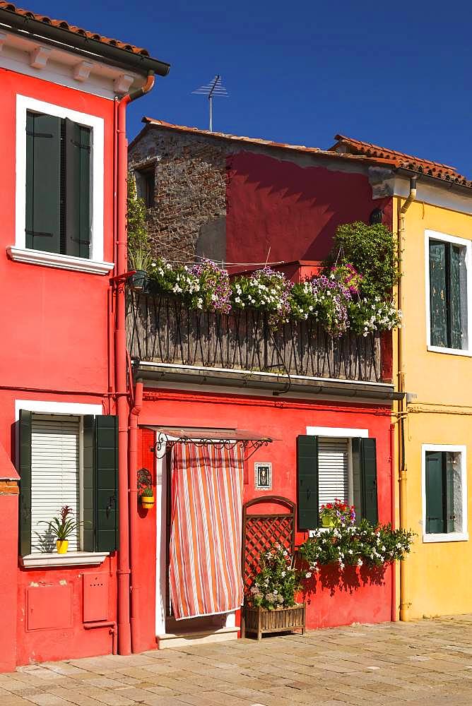 Red house facade decorated with flowers, Burano Island, Venice, Veneto, Italy, Europe