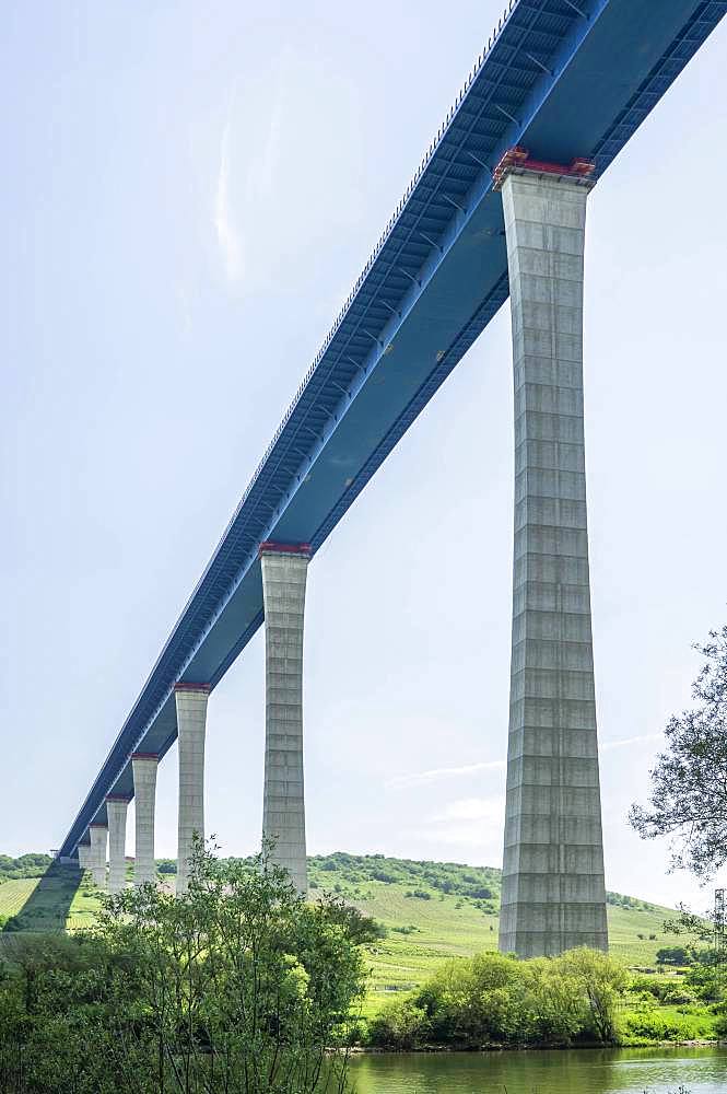 Bridge, Rhineland, Palatinate, Germany, Europe