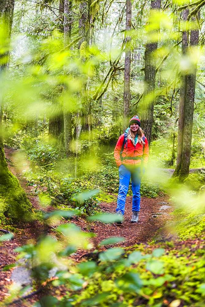 Hiker on hiking trail in rainforest, Mount Baker-Snoqualmie National Forest, Washington, USA, North America