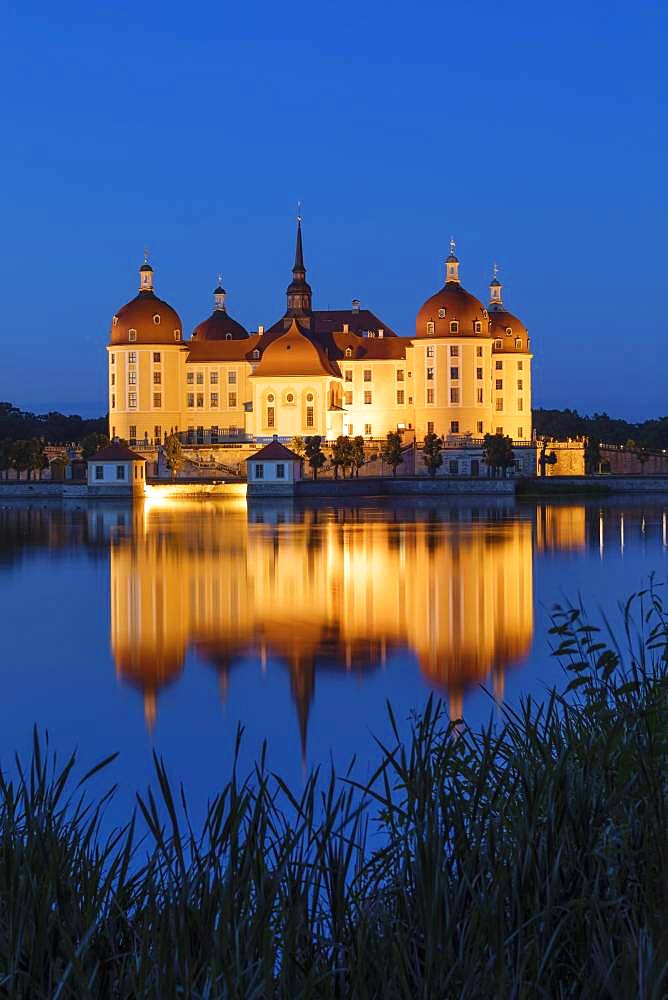 Illuminated Moritzburg Castle at dusk, water reflection in the lake, Saxony, Germany, Europe