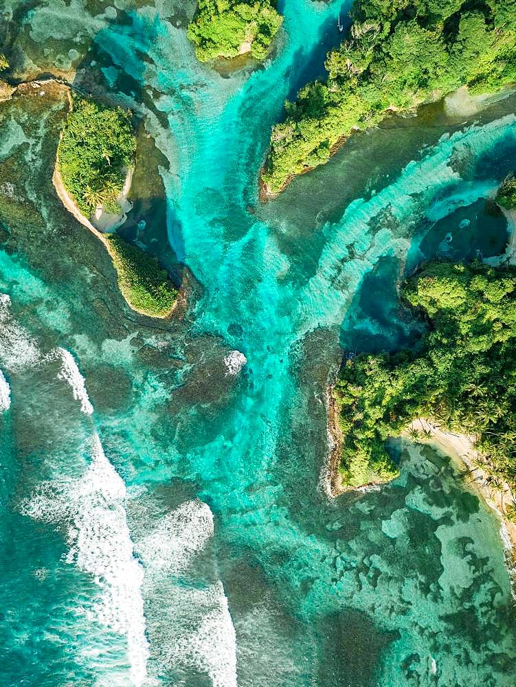 Wooded coastal area, drone shot, Escudo de Veraguas, Panama, Central America