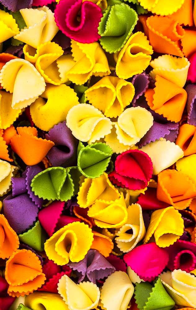 Farfalle, multi colored pasta, Canada, North America