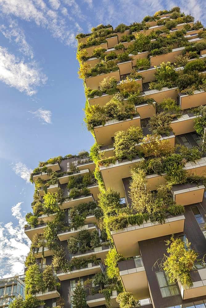 Bosco Verticale or Vertical Forest residential towers, architect Boeri, Porta Nuova district, Milan, Lombardy, Italy, Europe