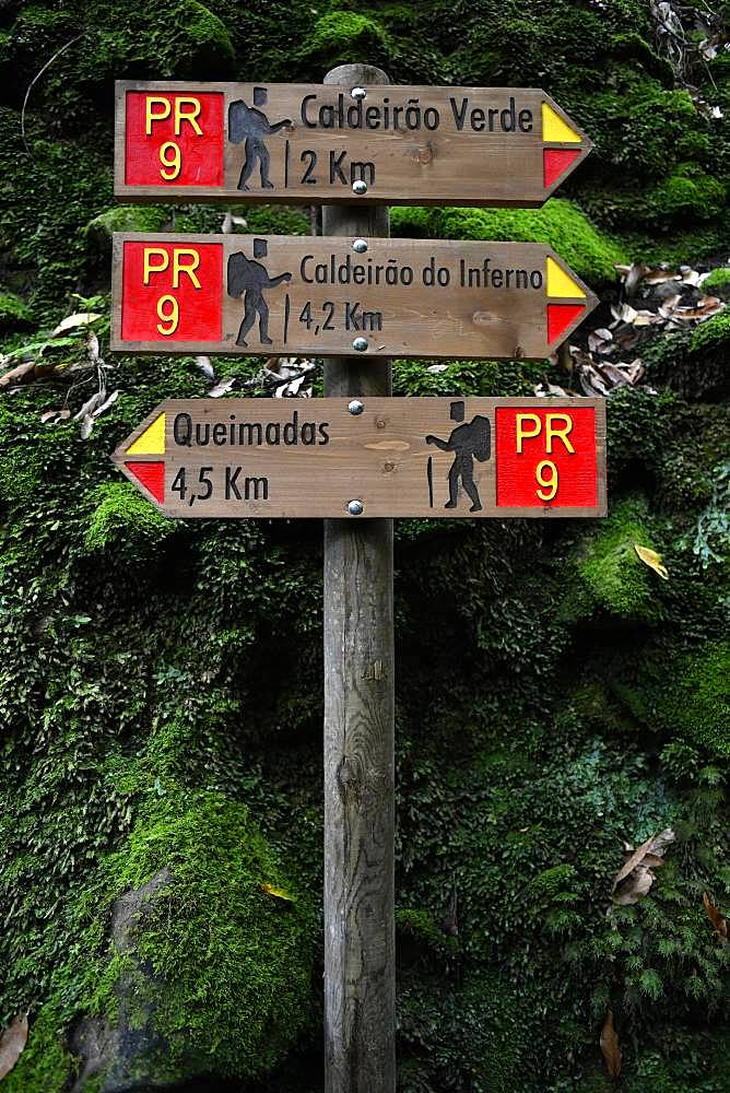 Signpost Hiking trail PR 9 Levada Levada Levada Caldeirao Verde, Queimadas, Caldeirao do Inferno, Rainforest, Madeira, Portugal, Europe