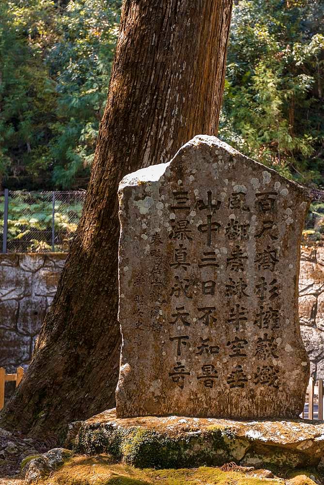 Old stone tablet with Japanese writing on the pilgrimage path Kumano Kodo, Hirou-jinja Shinto Shrine, Nachisan, Wakayama, Japan, Asia