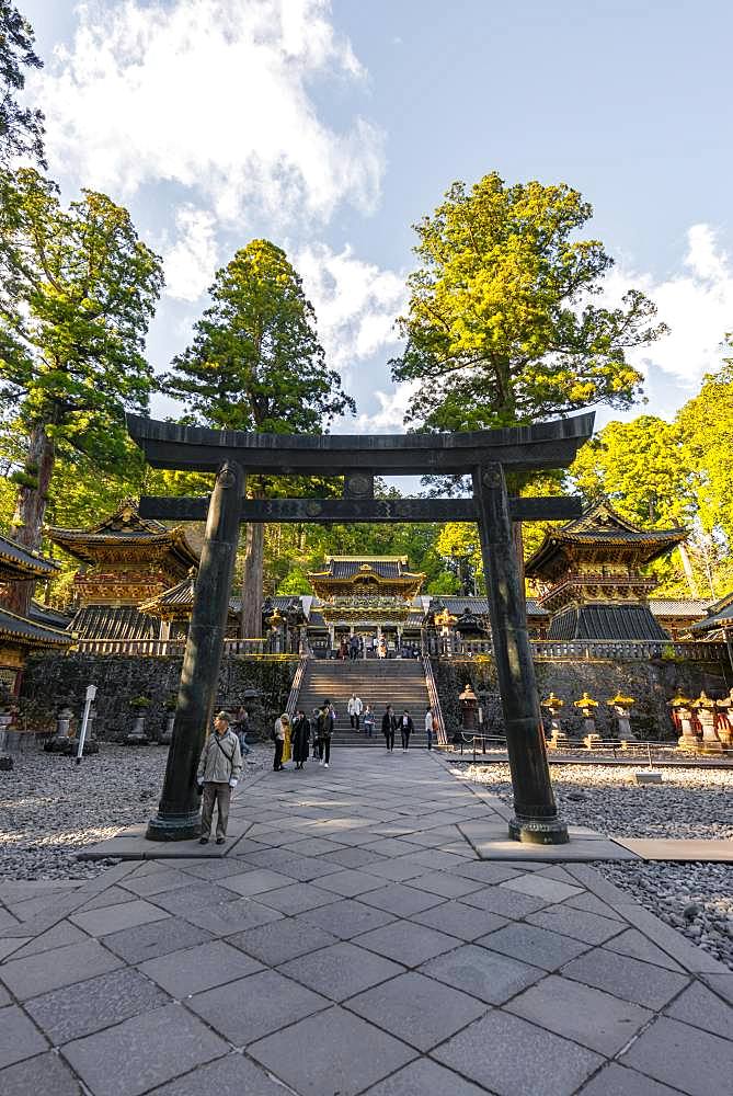 Torii gate at Tosho-gu Shrine from the 17th century, Shinto Shrine, shrines and temple of Nikko, UNESCO World Heritage Site, Nikko, Japan, Asia