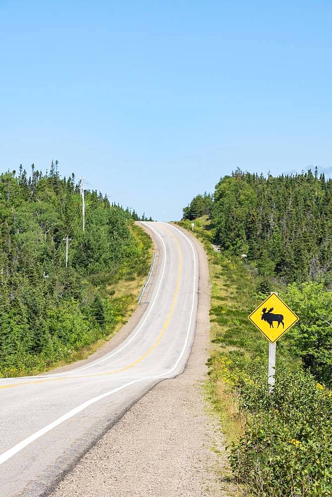 Road sign warns of crossing moose, Cabot Trail, Cape Breton Highlands National Park, Nova Scotia, Canada, North America