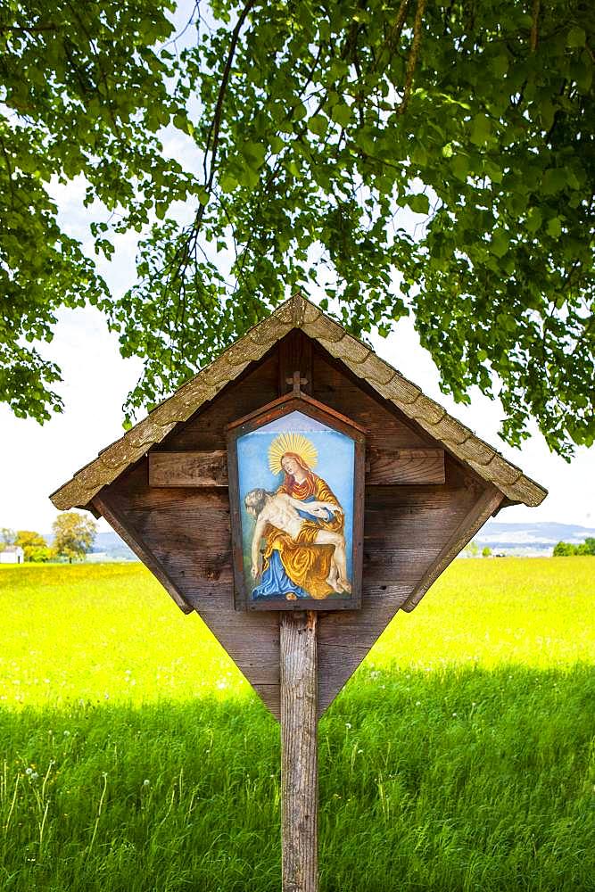 Wayside shrine, wayside shrine under a lime tree, Weissenkirchen in the Attergau, Hausruck Quarter, Upper Austria, Austria, Europe