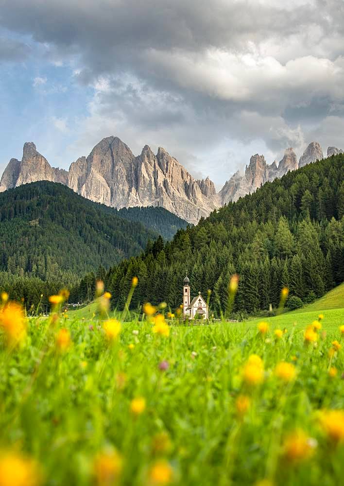 Church of St. John in Ranui with flower meadow, San Giovanni, St. John Chapel, Geisler Group, Villnoess valley, St. Magdalena, Bolzano, South Tyrol, Italy, Europe