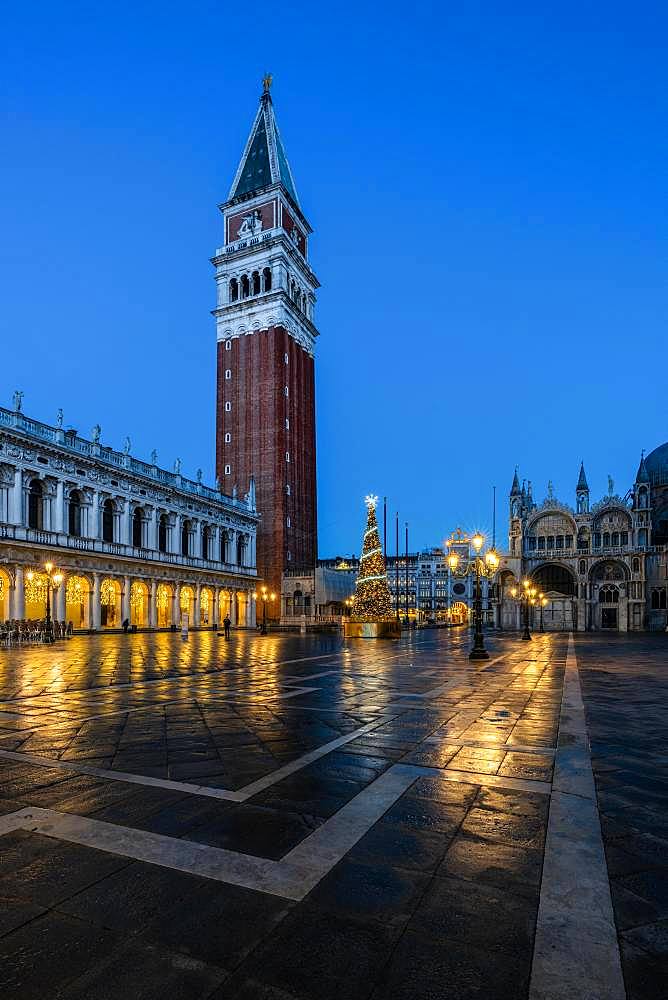 Campanile and St. Mark's Square with Christmas tree, Venice, Italy, Europe