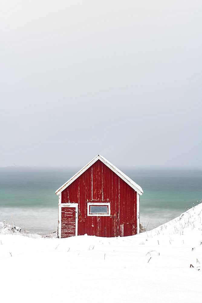 Rorbuer fishing hut on the beach in the snow, Ramberg, Flakstadoya, Lofoten, Norway, Europe