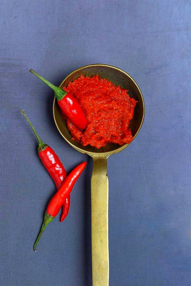 Red Thai curry paste in brass ladle and chilli peppers, Germany, Europe