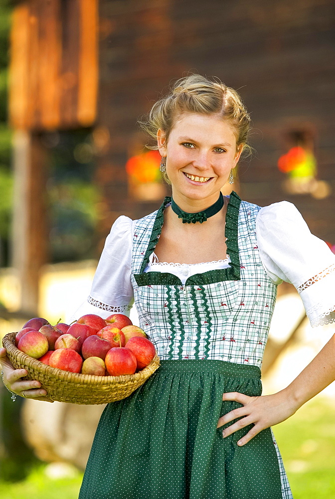 Young woman in dirndl wearing a basket of apples, 19 years, Upper Austria, Austria, Europe