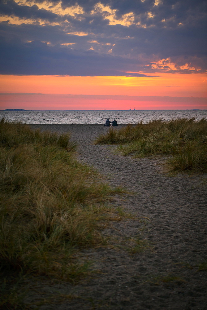 Couple sitting on the beach, Beach landscape with dune grass, Sunrise over the sea, Amager Strand, Copenhagen, Denmark, Europe