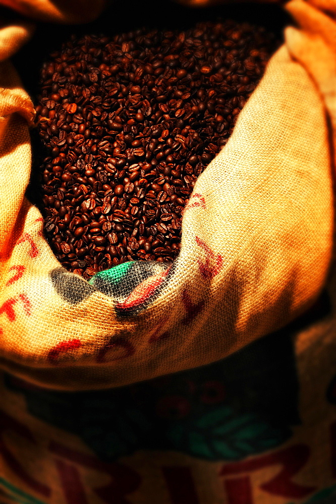 Roasted coffee beans, studio shot, Germany, Europe