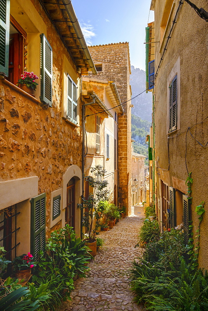 Flowerpots in alley with typical stone houses, Fornalutx, Serra de Tramuntana, Majorca, Balearic Islands, Spain, Europe