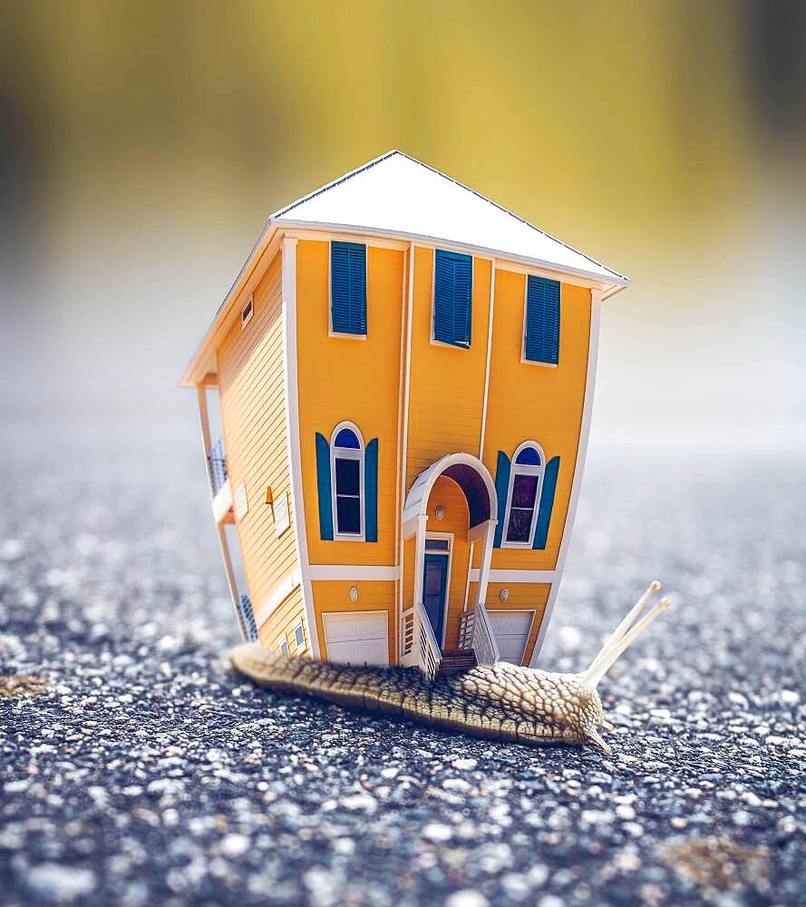 House on miniature snail, conceptual image