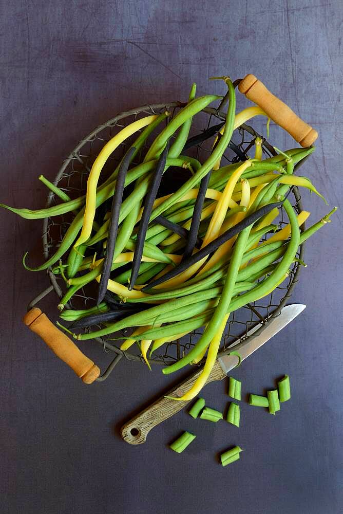 Green, yellow and black beans in wire basket with knife, Germany, Europe