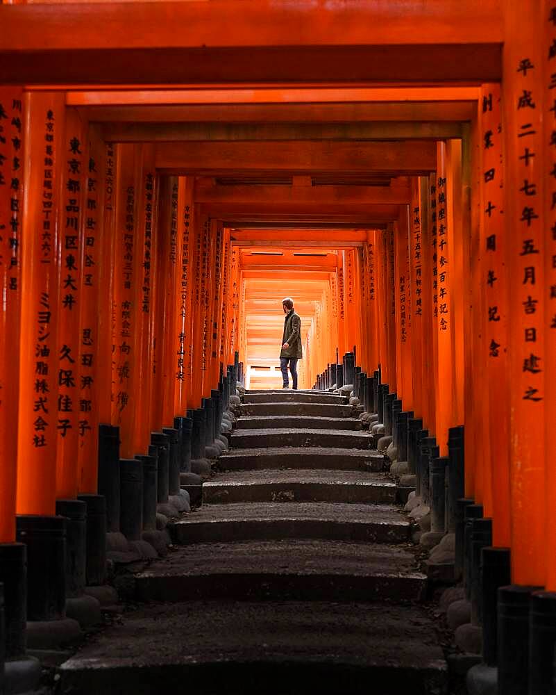 Fushimi Inari Taisha Shrine with person, Kyoto, Japan, Asia