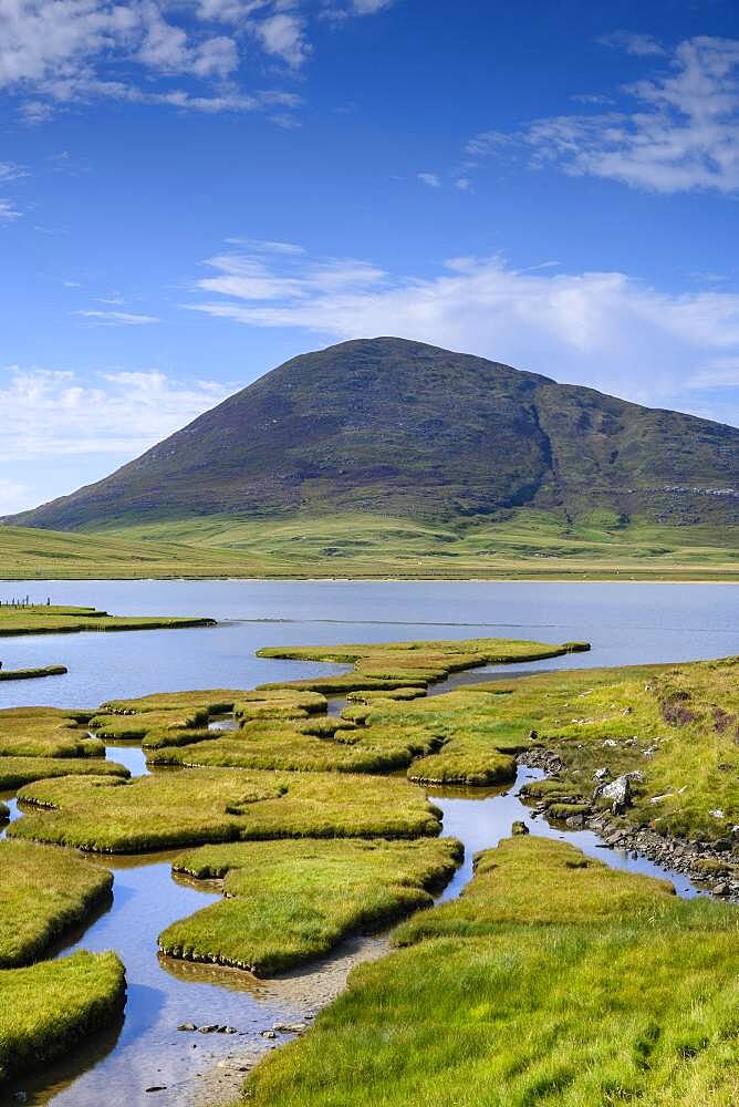 Marsh landscape near Northton with Ceapabhal Hill, Isle of Harris, Scotland, Great Britain