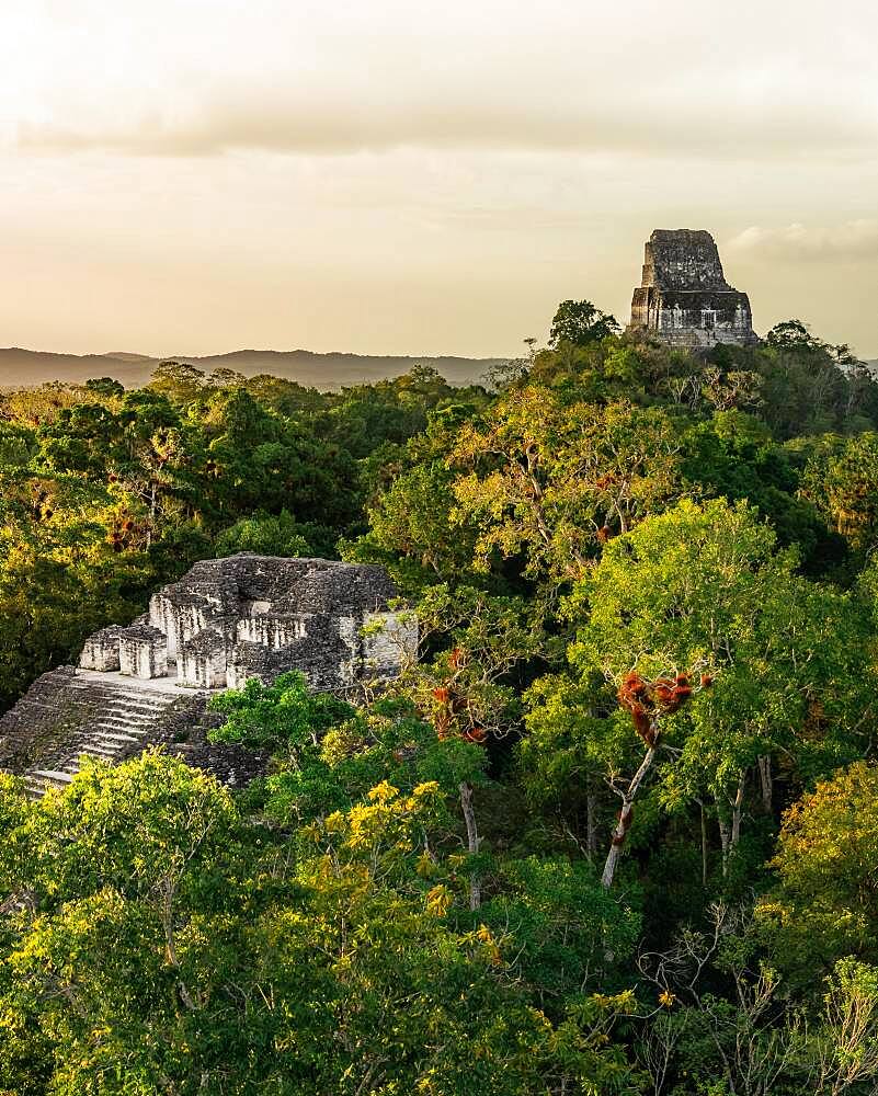 Mayan temple in the rainforest, ancient Mayan city, Tikal National Park, Guatemala, Central America