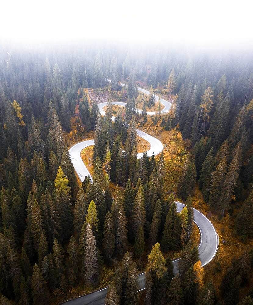 Aerial view, winding road in autumn with fog, Passo di Giau, Italy, Europe