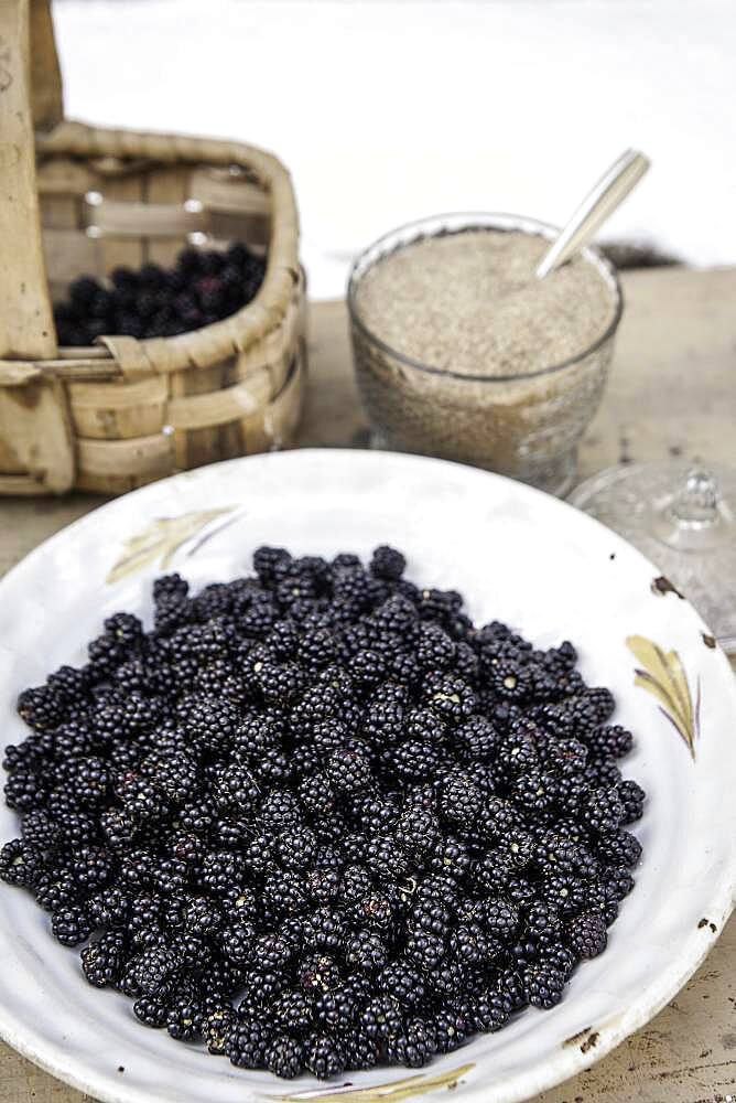 Wild blackberries, brown sugar, picked in the Sierra de Gredos, La Lastra del Cano, Spain, Europe