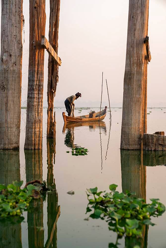 Fisherman stands with boat on Taung Tha Man Lake for sunrise between the posts of the U-leg bridge, reflection in the water, Thaung Tha Man Lake, Mandalay, Myanmar, Asia