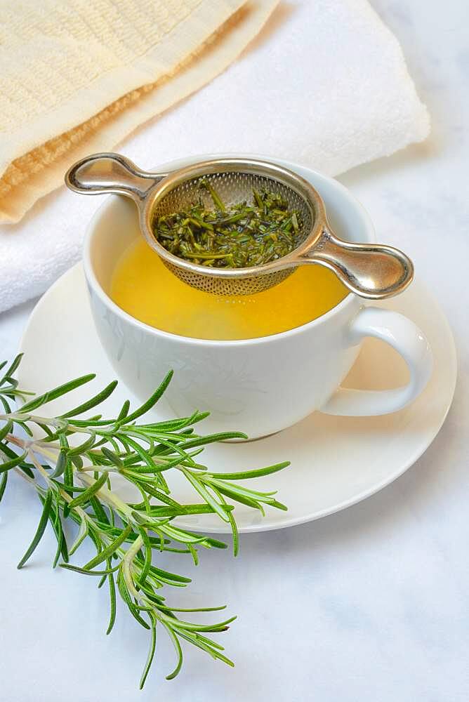 A cup of rosemary tea with tea strainer, rosemary branch, Germany, Europe