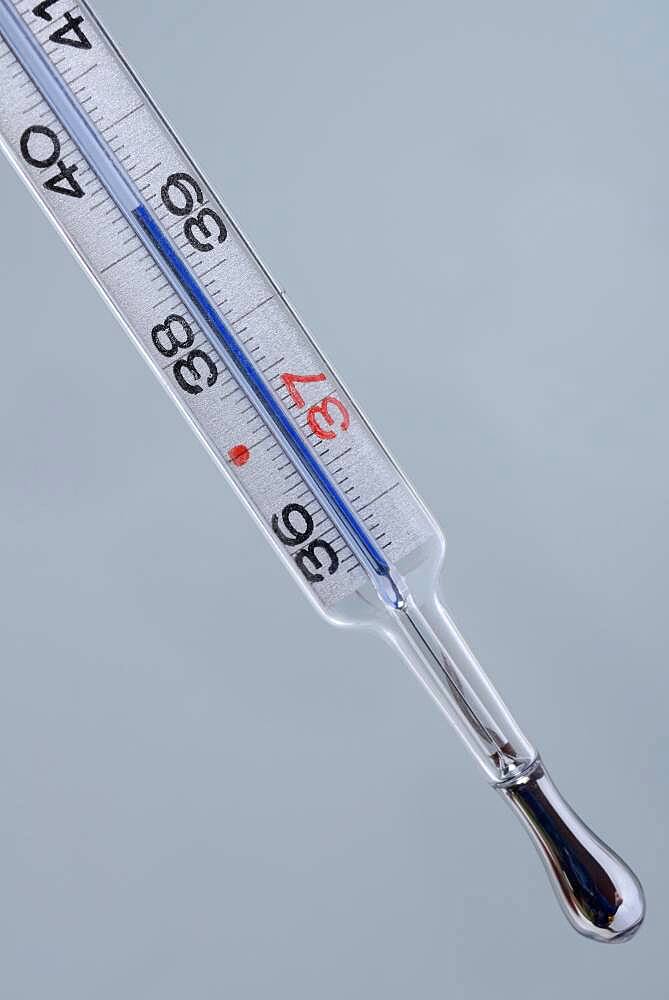 Clinical thermometer, mercury thermometer, Germany, Europe