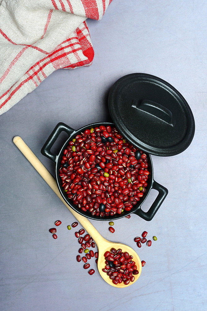 Dried beans in cast iron pot, cooking spoon, Germany, Europe