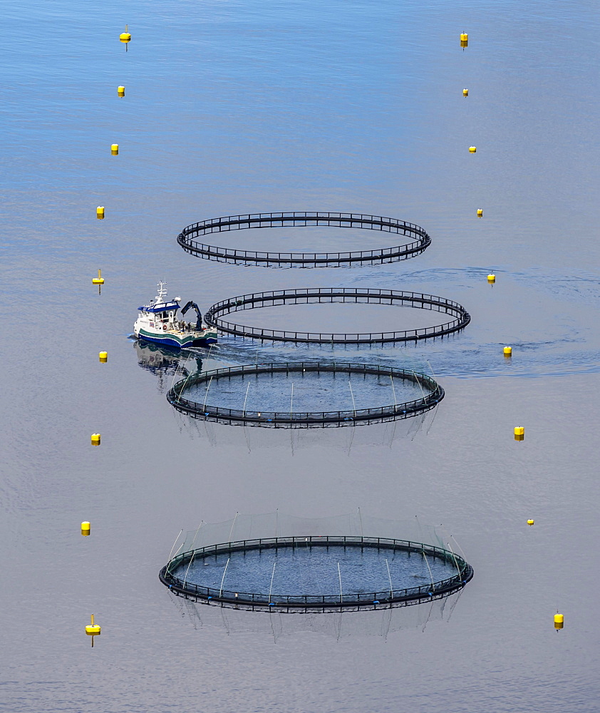 Aquaculture, fish farm in a fjord, Nordland, Norway, Europe