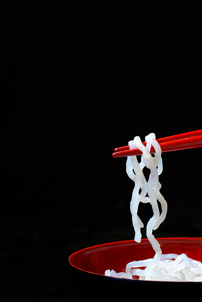 Shirataki noodles made from konjac flour on chopsticks, Germany, Europe