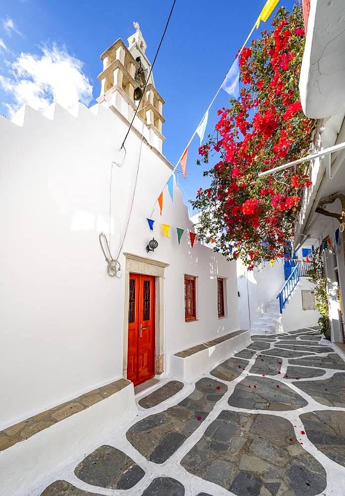 Small alley with white Greek Orthodox church and red bougainvillea, Chora, Mykonos Town, Mykonos, Cyclades, Aegean Sea, Greece, Europe