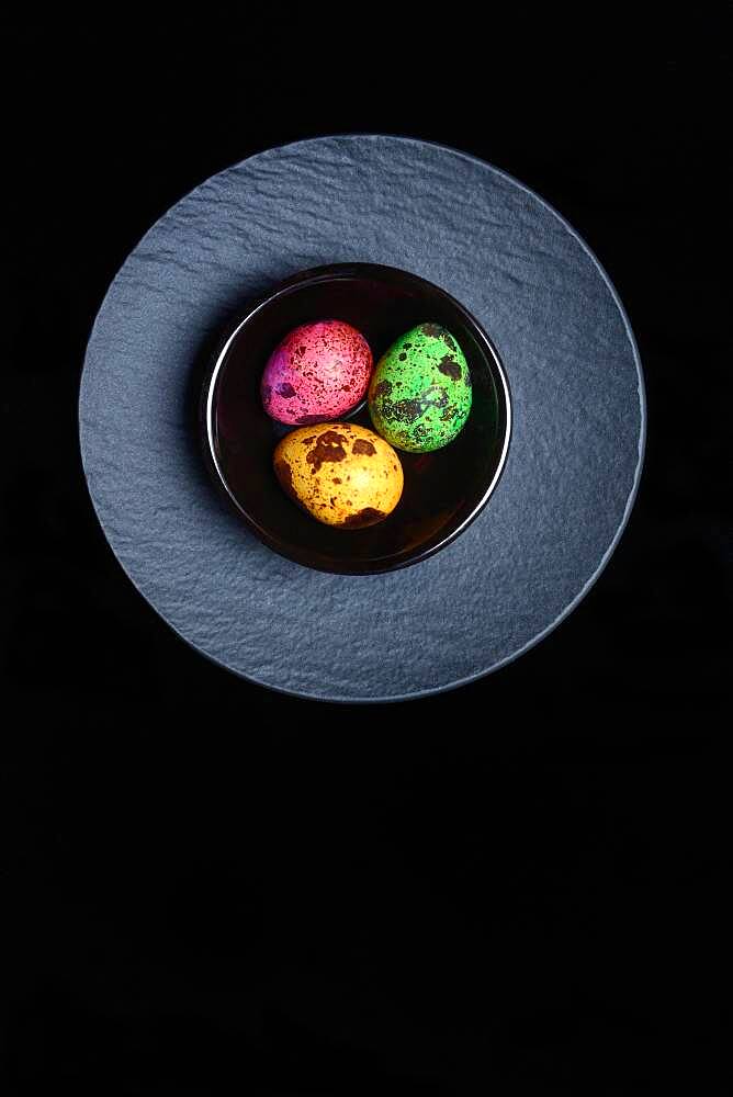 Coloured quail eggs in small bowls, Easter eggs, Germany, Europe