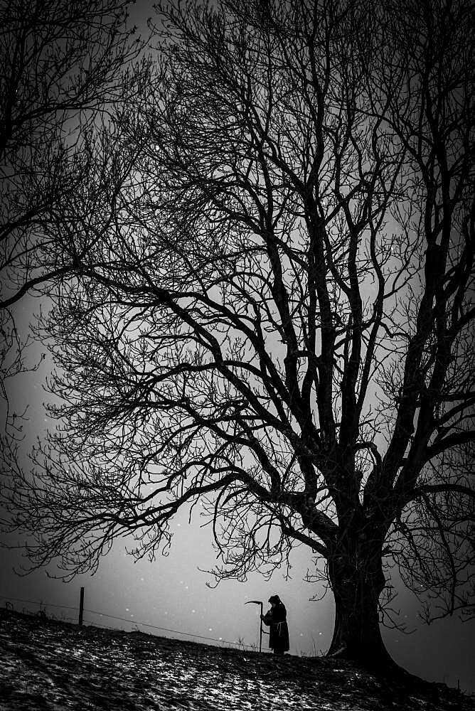 Man with scythe under tree with starry sky, Oberguenzburg, Ostallgaeu, Bavaria, Germany, Europe