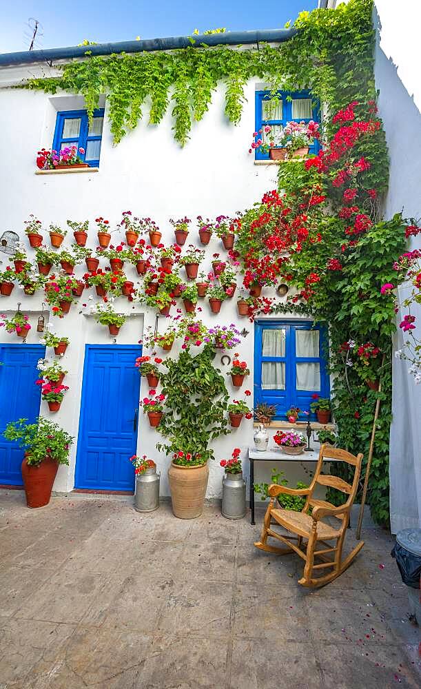 Blue entrance door in courtyard decorated with flowers, geraniums in flower pots on the house wall, Fiesta de los Patios, Cordoba, Andalucia, Spain, Europe