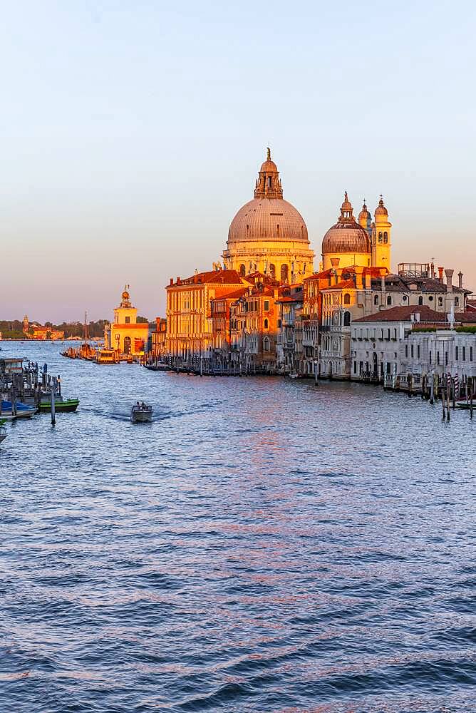 Evening atmosphere, view from the Ponte dell'Accademia to the Grand Canal and the Basilica Santa Maria della Salute, Venice, Veneto, Italy, Europe