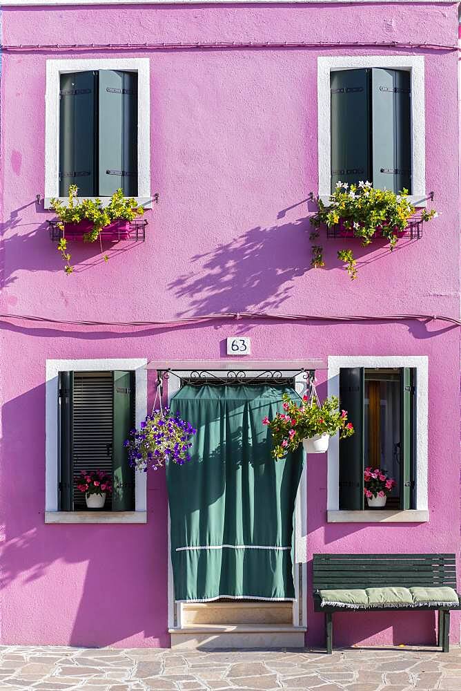 Pink house, colorful facade, Burano Island, Venice, Veneto, Italy, Europe