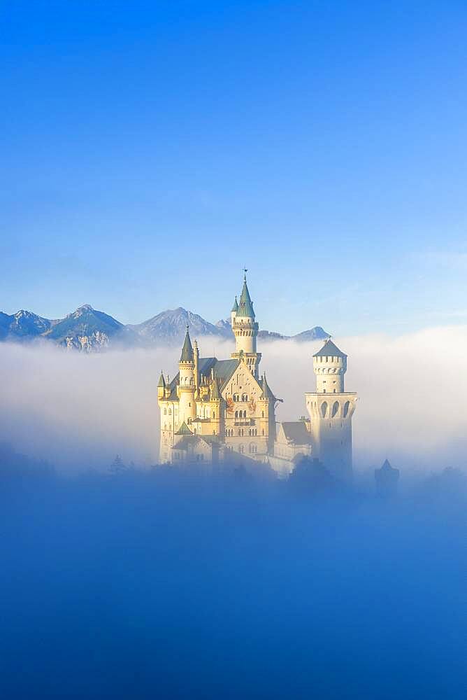 Neuschwanstein Castle in early mist in autumn, near Schwangau, Ostallgaeu, Allgaeu, Swabia, Bavaria, Germany, Europe